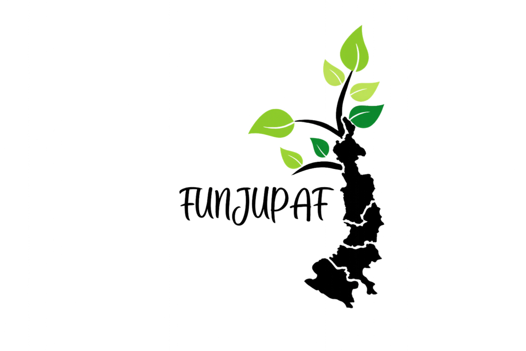 Desarrollo Juvenil en el Pacífico | Fundación Juventud Futuro